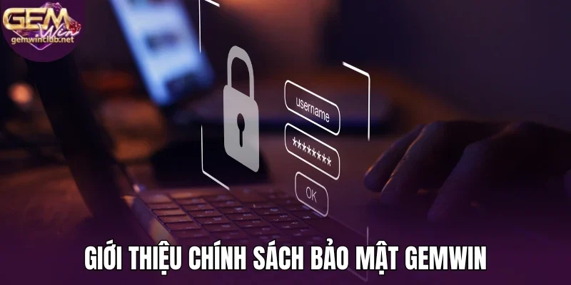 Giới thiệu chính sách bảo mật Gemwin