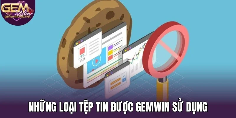 Những loại tệp tin được Gemwin sử dụng