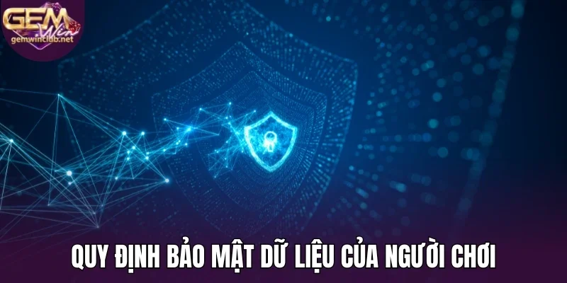 Quy định bảo mật dữ liệu của người chơi