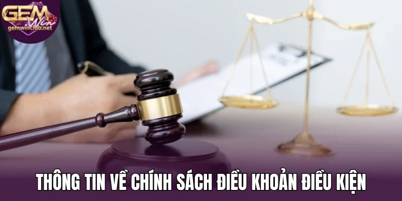 Thông tin về chính sách điều khoản điều kiện