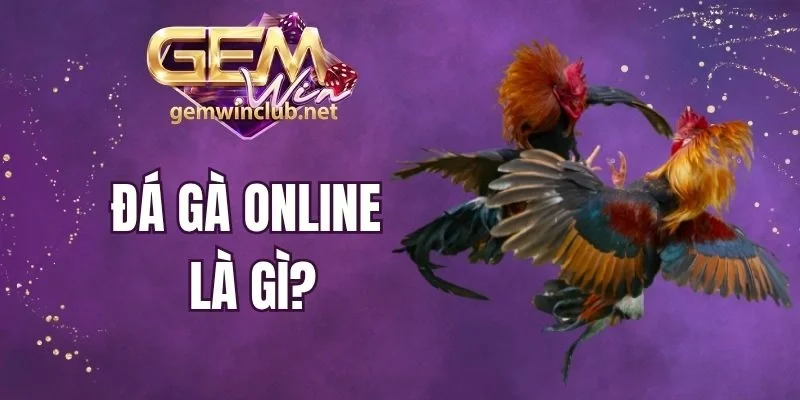 Đá Gà Online Là Gì - Đấu Trường Giữa Các Kê Thủ Tuyệt Đỉnh