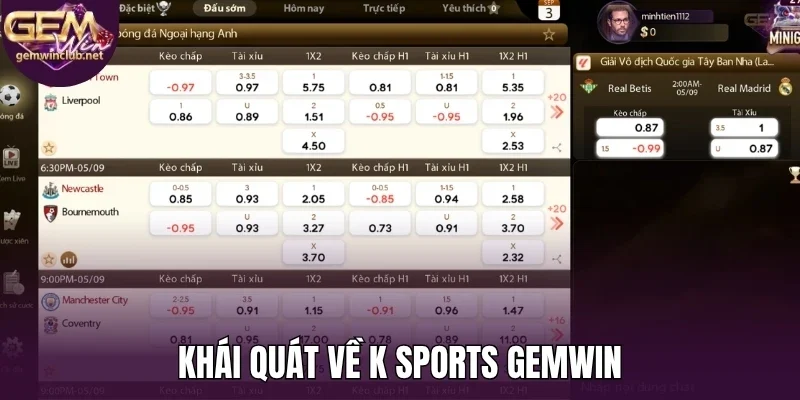 Khái quát về K Sports Gemwin